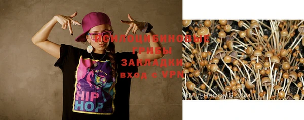 бутират Алексин