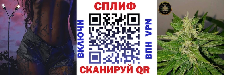 где можно купить наркотик  Злынка  Канабис ГИДРОПОН 